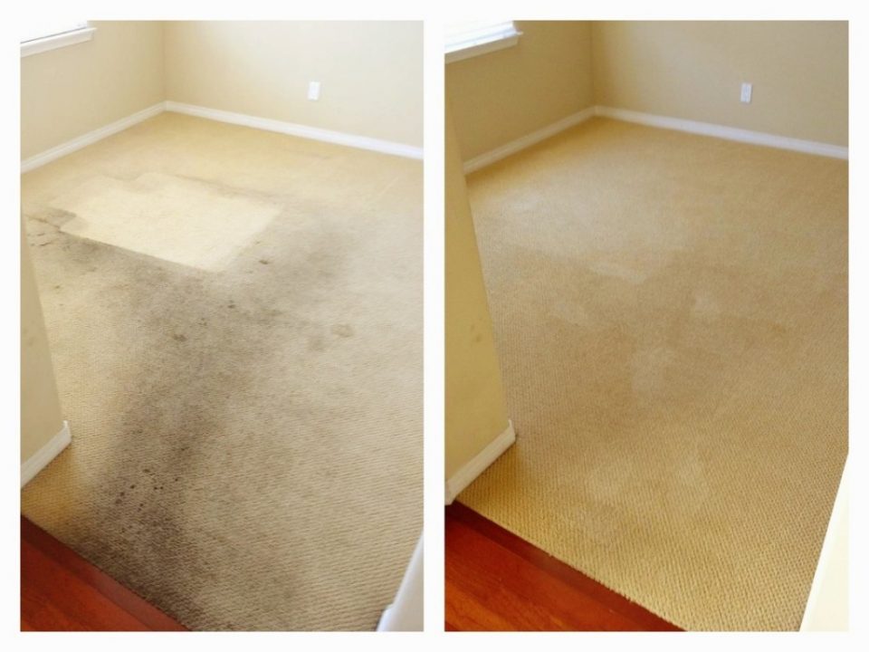 how to choose a professional carpet cleaner